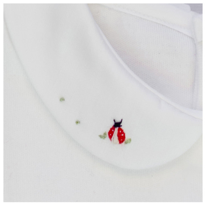 Ladybug - Body cod 452/1